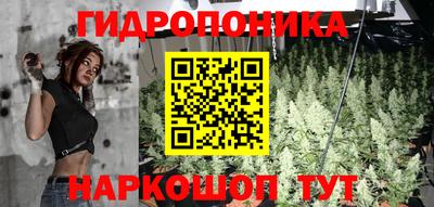 гидра Гусиноозёрск