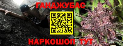 гидра Гусиноозёрск