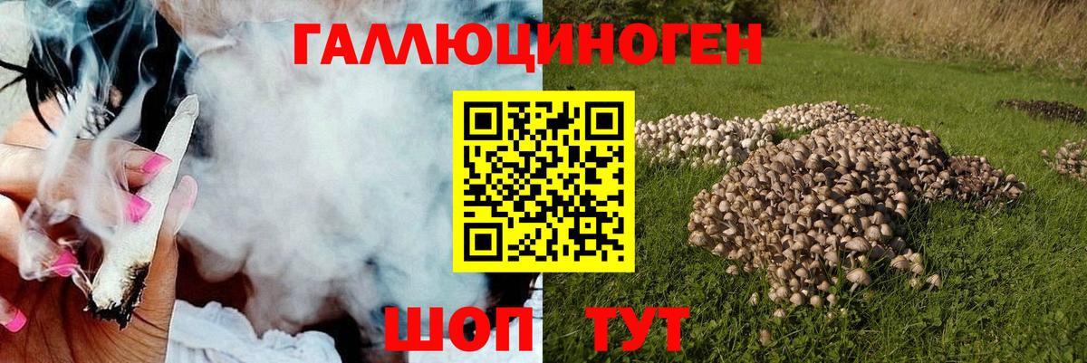 Псилоцибиновые грибы Magic Shrooms  Вход с VPN  Киреевск 
